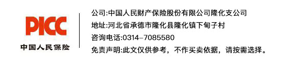 longhua_renbao.jpg